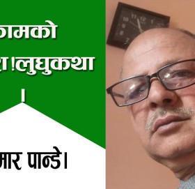 कामको तलाश!लुघुकथा।