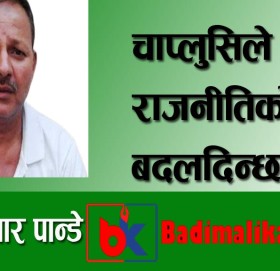 चाप्लुसिले राजनीतिको चाल बदलदिन्छ।