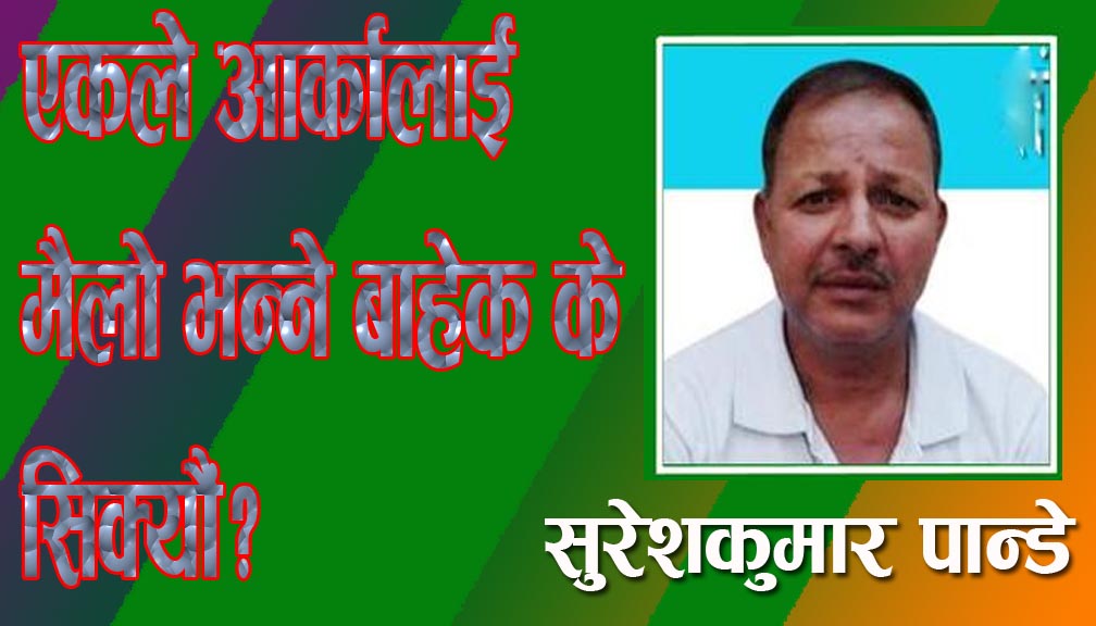 एकले आर्कालाई मैलो भन्ने बाहेक के सिक्यौं?