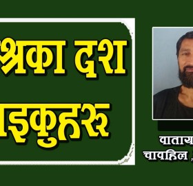 मिश्रका १० हाइकुहरू