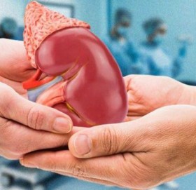 प्रेमको लागि आफ्नैं मृगौला दिए, गर्लफ्रेण्डले गरिन् अर्कैसँग बिहे