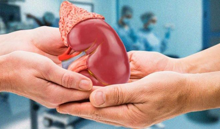 प्रेमको लागि आफ्नैं मृगौला दिए, गर्लफ्रेण्डले गरिन् अर्कैसँग बिहे