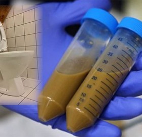 पेटको उपचारका लागि दिसा दान ! चल्दैछ नयाँ ट्रेण्ड