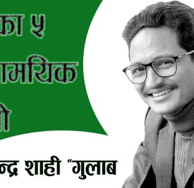 शाहीका ५ समसामयिक साइनो