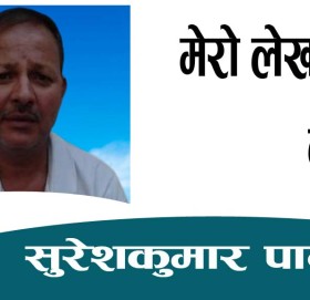 मेरो लेख केको लागि?