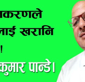 नीजिकरणले देशलाई खरानि पार्छ!