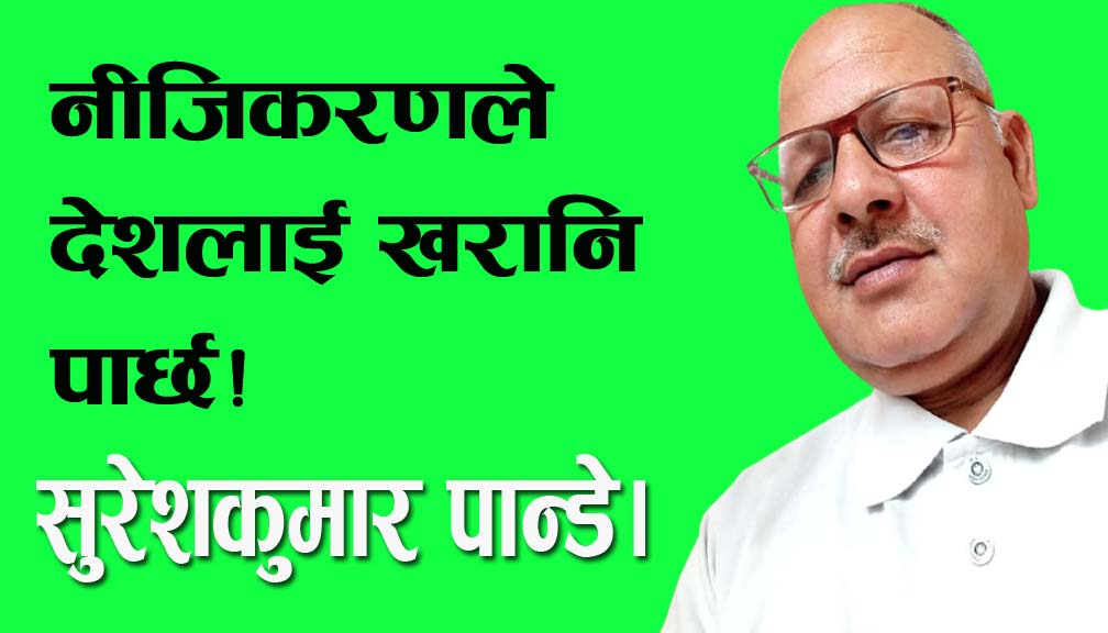नीजिकरणले देशलाई खरानि पार्छ!
