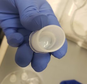 अब काटिएका हातखुट्टा पलाउने !