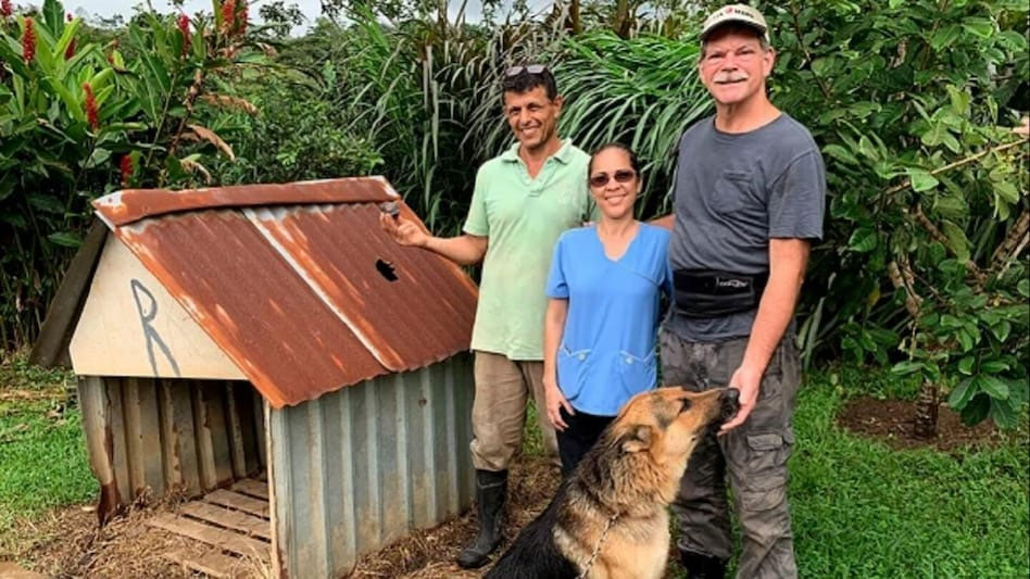 उल्का पिण्डले प्वाल पारेको कुकुरको खोर करोडौंमा बिक्री हुँदै