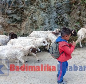 भोटे जनजातिका बालवालिकाको पढाई ६ महिना मात्र