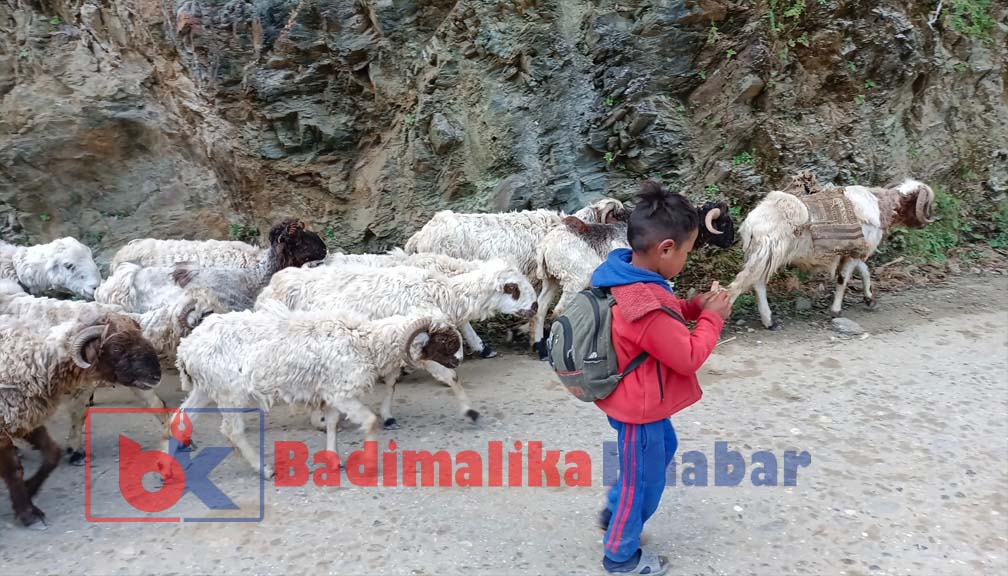 भोटे जनजातिका बालवालिकाको पढाई ६ महिना मात्र