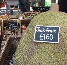 एउटा कटहरको मूल्य २५ हजार !