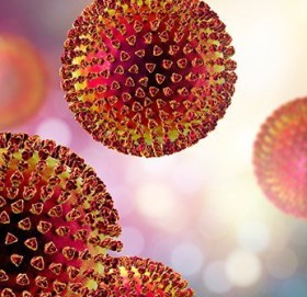 नाइजेरियामा लासा ज्वरोका कारण कम्तीमा ३२ जनाको मृत्यु