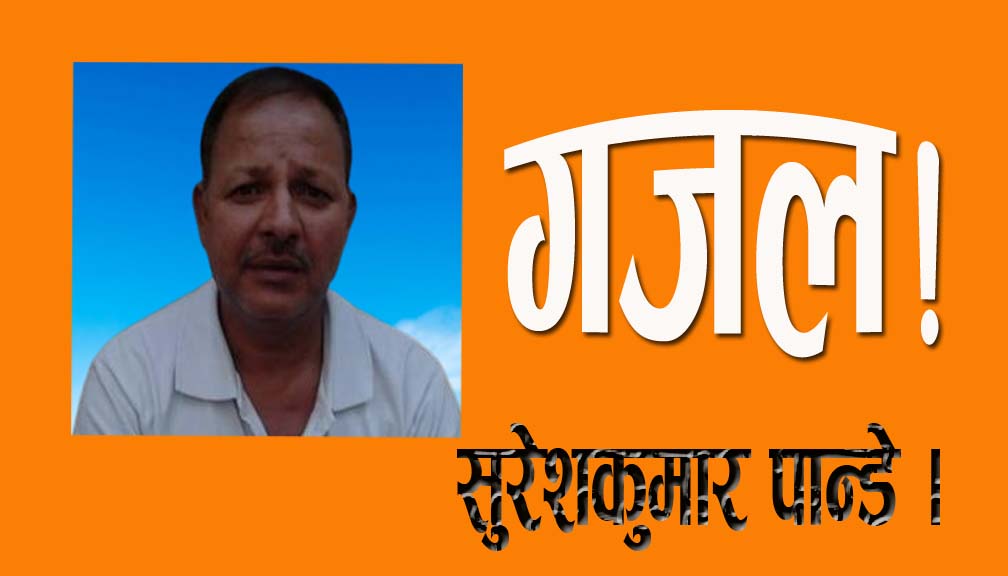 कसै कसैले दिलोज्यान लगाई खबरदार