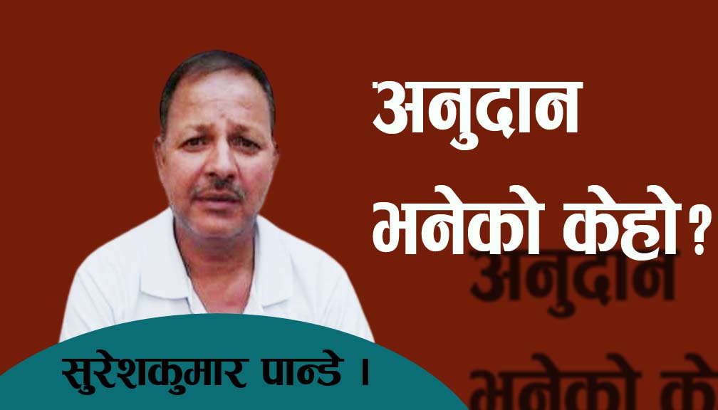 अनुदान भनेको केहो?