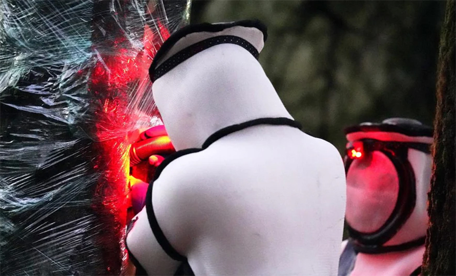 वैज्ञानिकहरुले बनाए यौन पासो, एकै दिनमा हजारौँ अरिंगाल जालमा !