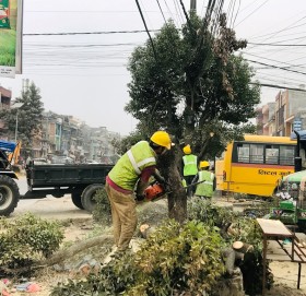 मुग्लिन-पोखरा चार लेन सडक आयोजना : ५८ सय रुख काटियो