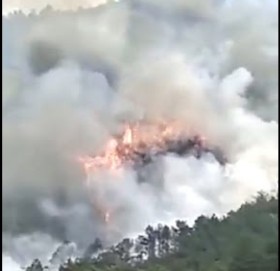 चीनमा हवाईजहाज दुर्घटना