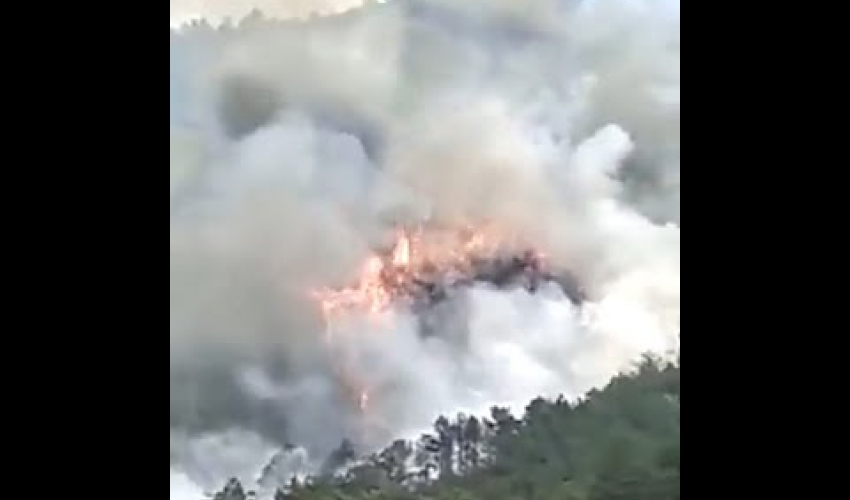 चीनमा हवाईजहाज दुर्घटना