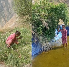 तरकारी खेतिले फेरिएको जीवन