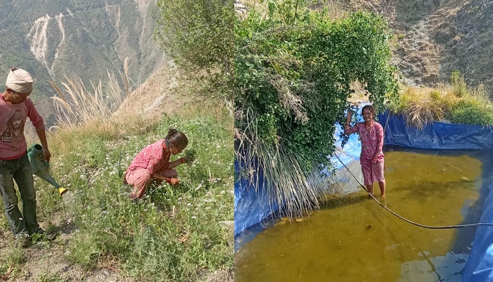 तरकारी खेतिले फेरिएको जीवन