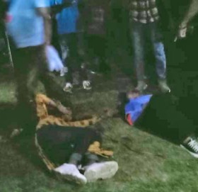 महोत्सवमा पिङ भाँचिदा १४ जना घाइते, ३ जना गम्भीर