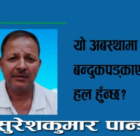 योे अबस्थामा देशमा बन्दुकपड्काएर समस्य हल हुँन्छ?