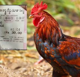 बसमा यात्रा गर्ने कुखुराको भालेलाई ३० रुपैयाँको टिकट