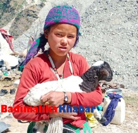 जनजाति बालिका बिद्यालय पढने बेला भेडा चराउदै