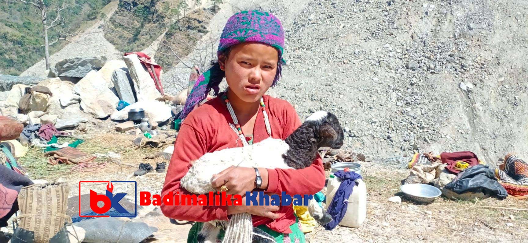 जनजाति बालिका बिद्यालय पढने बेला भेडा चराउदै