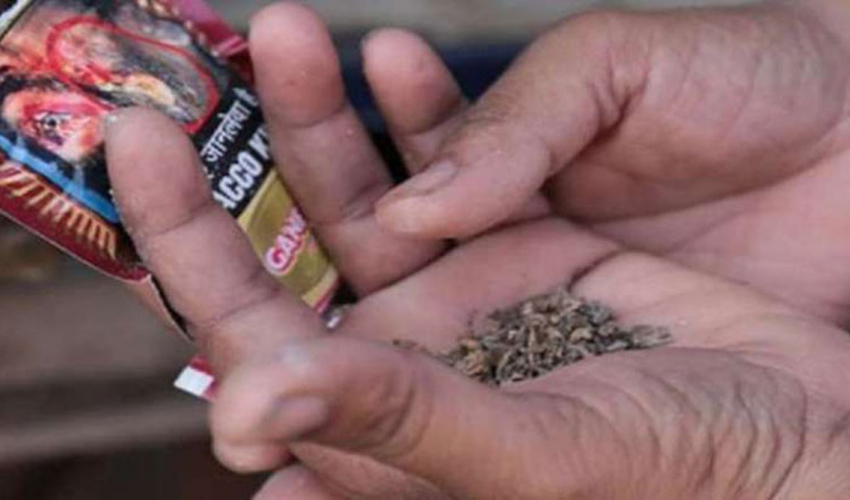 नौ महिनामा नेपालीले सेवन गरे १८ लाख किलो सुर्ती