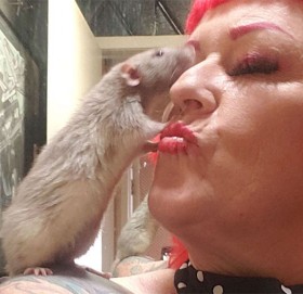 महिलाको अनौठो सोख, भान्साकोठामा ५० मुसाको लालनपालन