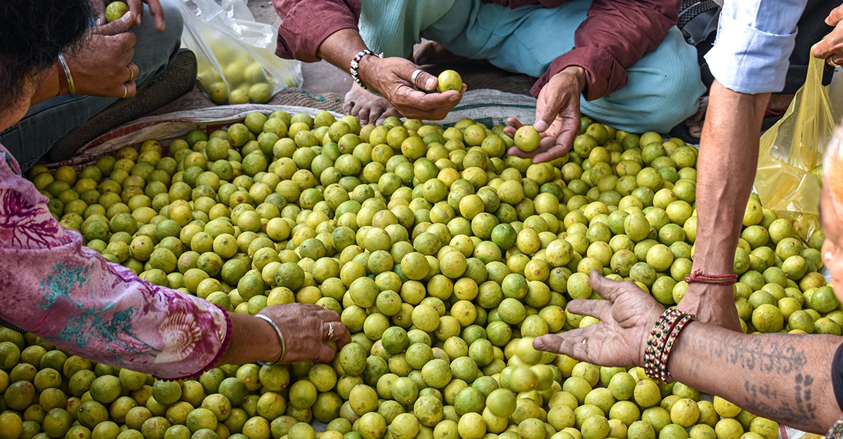 दुई गुणासम्म किन बढ्यो कागतीको भाउ?