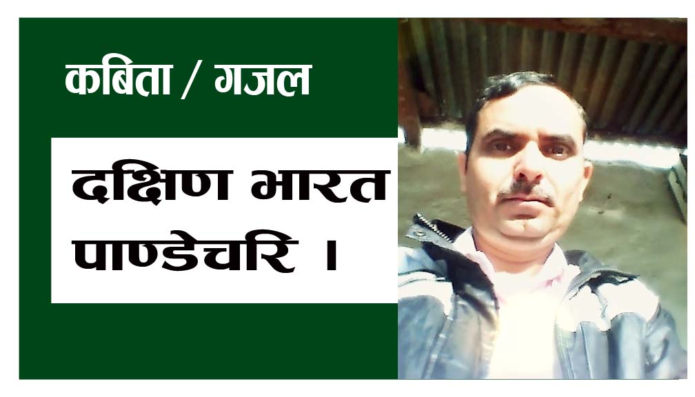 कबिता / गजल