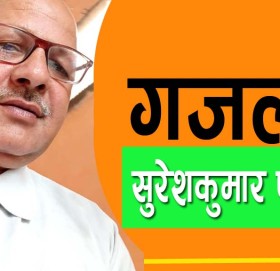 संसद भित्र सधै देशभक्तको अनिकाल हुन्छ