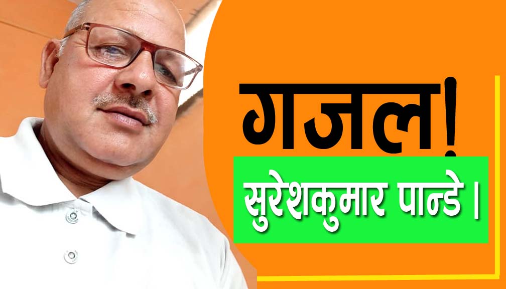 संसद भित्र सधै देशभक्तको अनिकाल हुन्छ