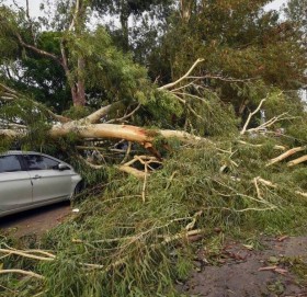 भारतको बिहारमा आँधीबाट ३३ जनाको मृत्यु
