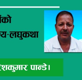 मुर्खको राज्य-लघुकथा!