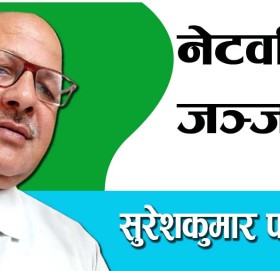 नेटवर्किंग जञ्जाल!