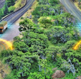 अनौठो सडक : जहाँ गाडीले होइन सडक आफैले हर्न बजाउँछ !