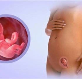 शिशुको टाउको काटेर गर्भमा छोडिदिएपछि…