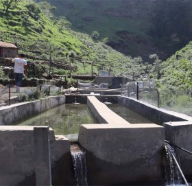 बिरेखाेलाका माछापालकको गुनासो, सबै बैँक धाउदा पनि रिण पाईएन