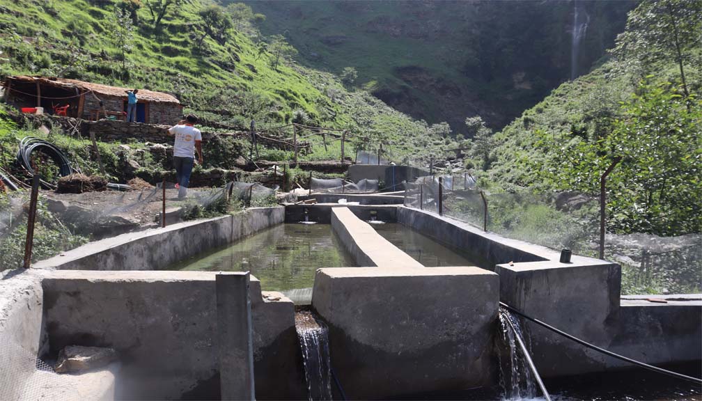 बिरेखाेलाका माछापालकको गुनासो, सबै बैँक धाउदा पनि रिण पाईएन