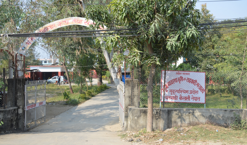 अनुदान छनोटको मापदण्ड मिचेर सुदूरपश्चिममा साढे ३३ करोड वितरण