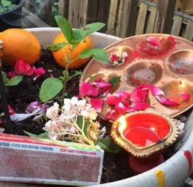 आज हरि शयनी एकादशी, यसरी मनाइँदै छ