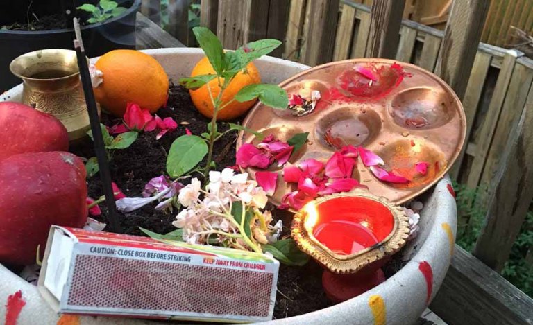 आज हरि शयनी एकादशी, यसरी मनाइँदै छ