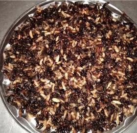 लोकप्रिय बन्दै अरिङ्गालका परिकार