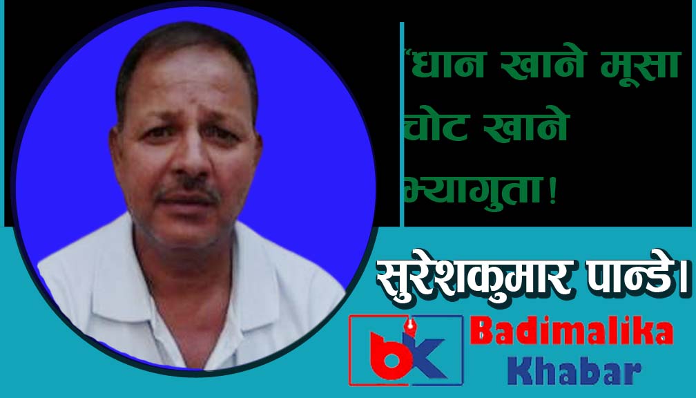 “धान खाने मूसा चोट खाने भ्यागुता!