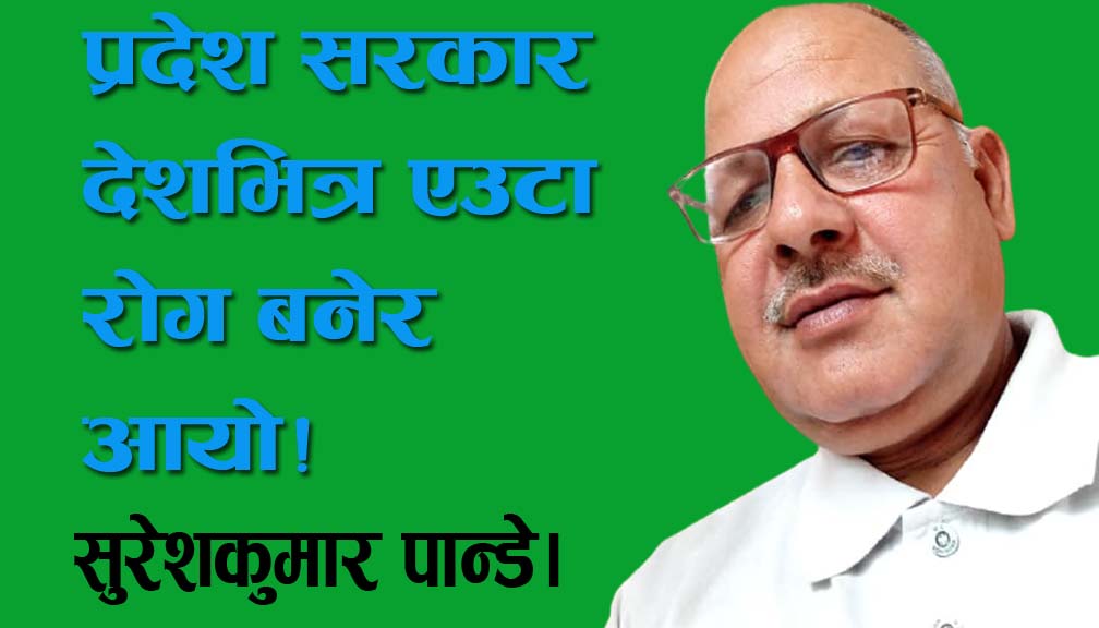 प्रदेश सरकार देशभित्र एउटा रोग बनेर आयो!