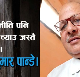 राज नीति पनि झरी च्याउ जस्तै उम्रिए।